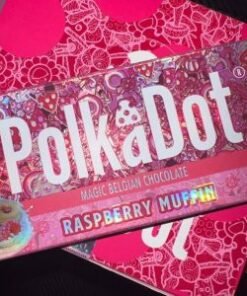 Polkadot Raspberry Muffin Chocolate